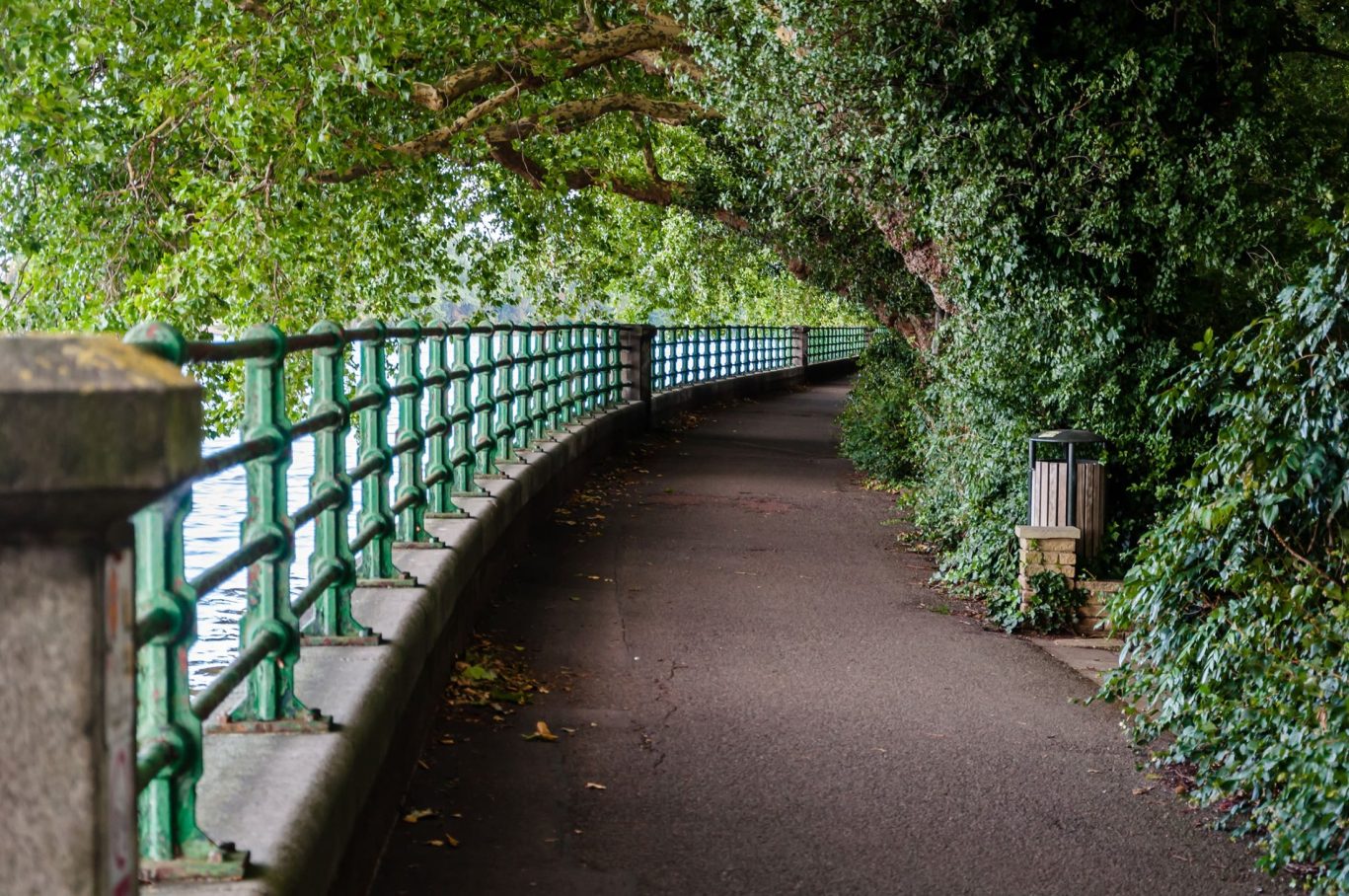 Bishop Park by River Thames