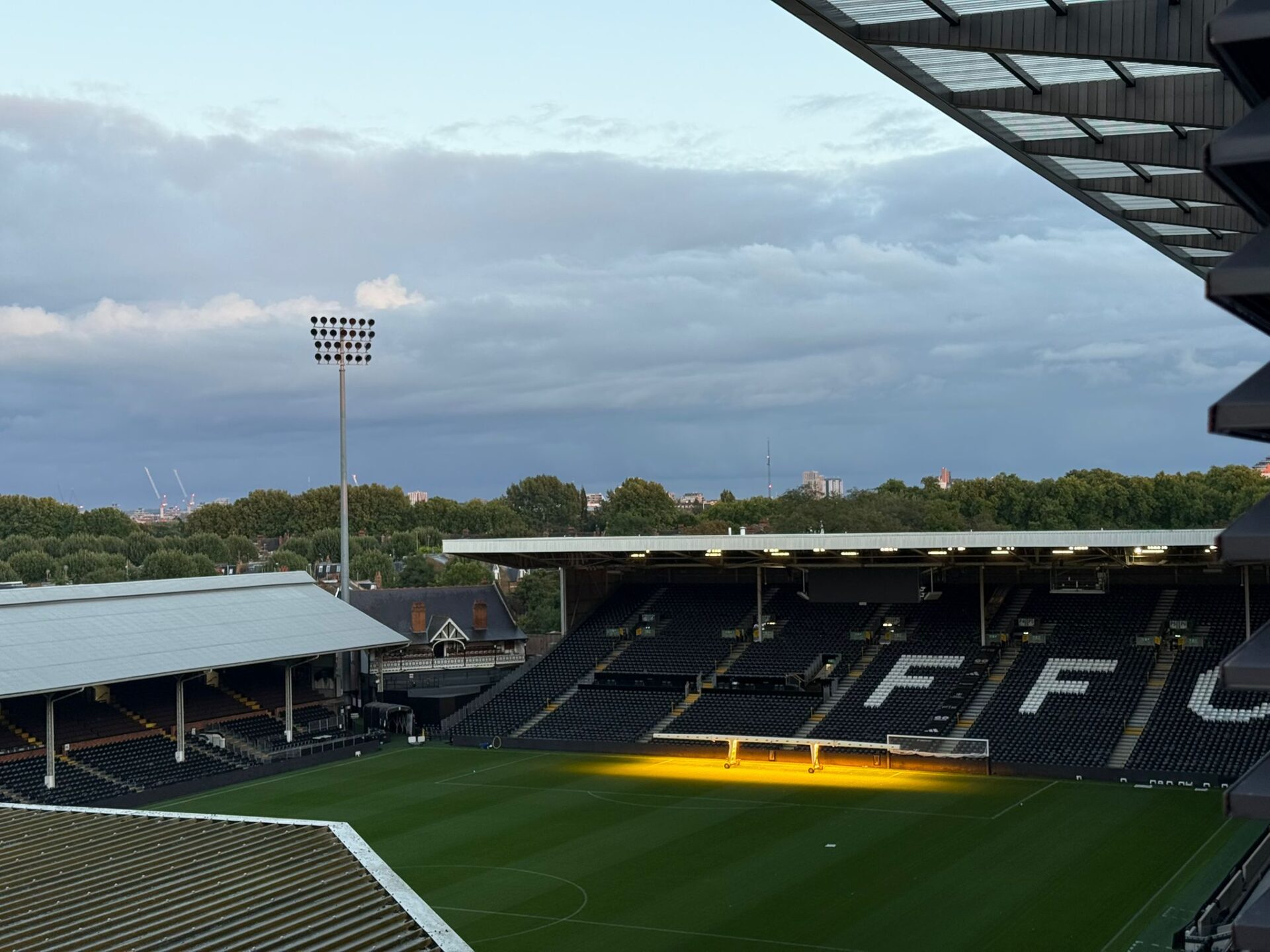 Fulham FC pitch